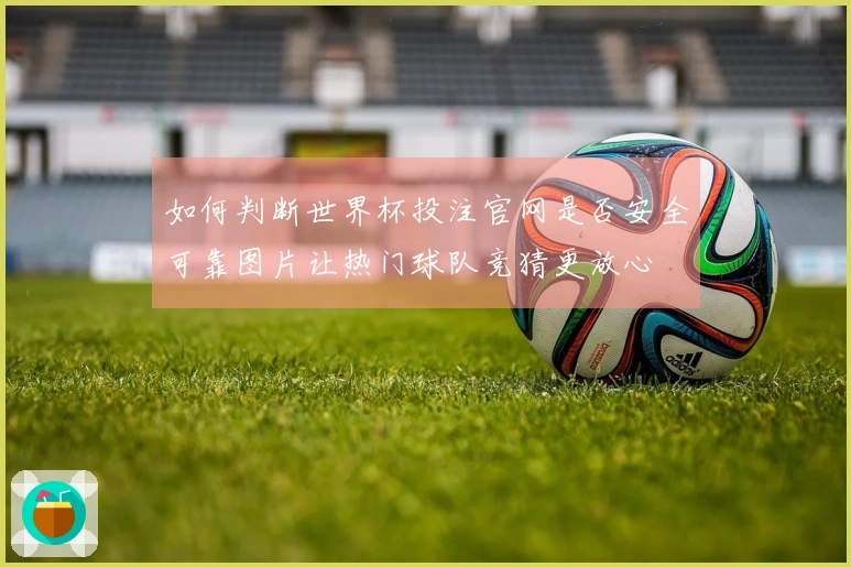 如何判断世界杯投注官网是否安全可靠图片让热门球队竞猜更放心
